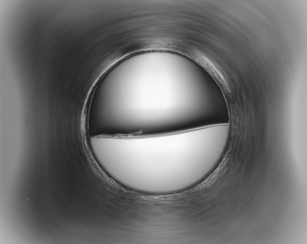 X0000099230900200804241227