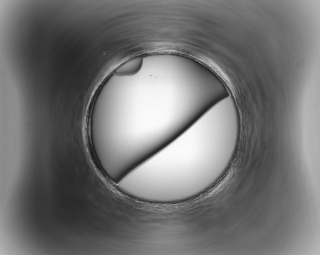 X0000099230901200804241227