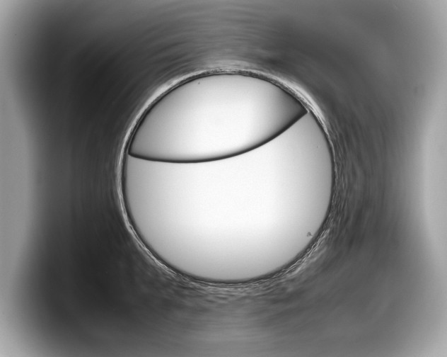 X0000099230903200804241227
