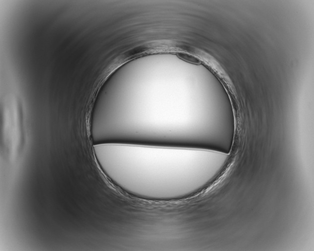 X0000099230905200804241227