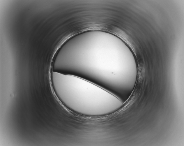 X0000099230906200804241227