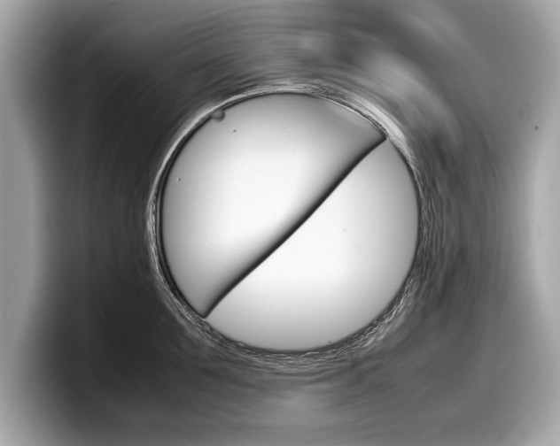 X0000099230907200804241227