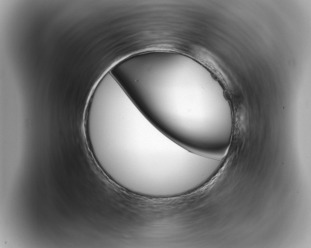 X0000099230908200804241226