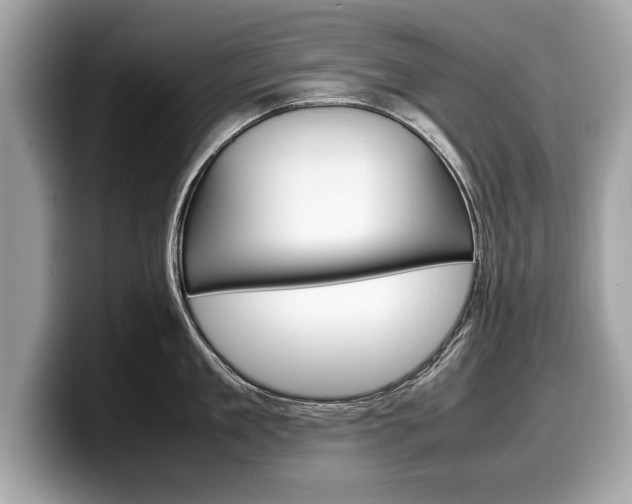X0000099230909200804241226