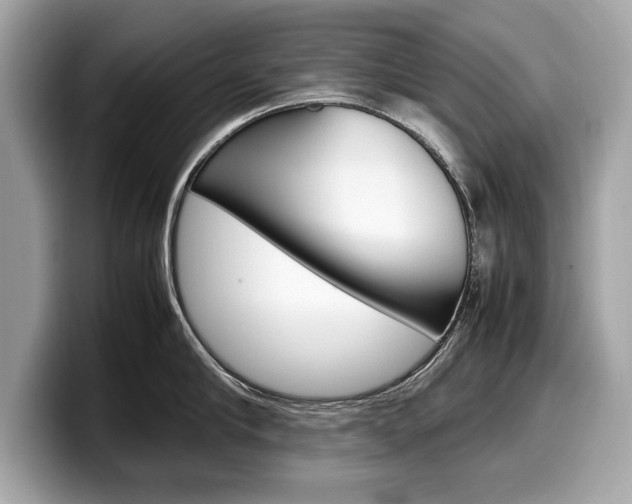 X0000099230910200804241226