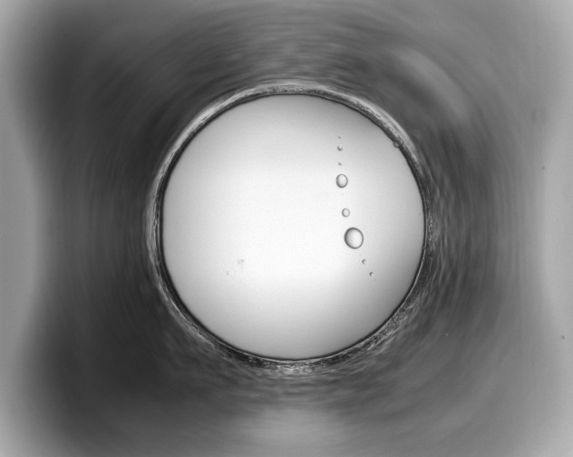 X0000099230911200804241226
