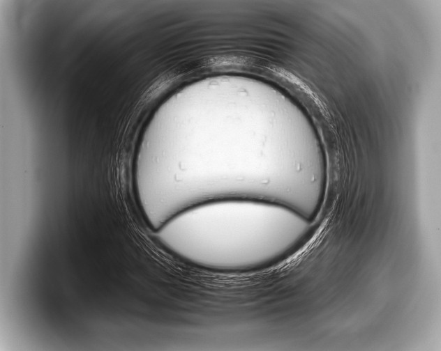 X0000099230921200804241226