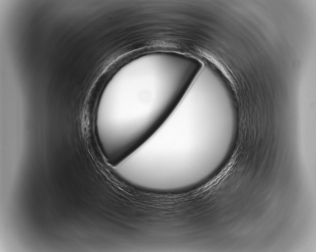 X0000099230923200804241226