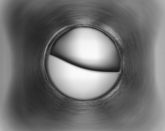 X0000099230924200804241226