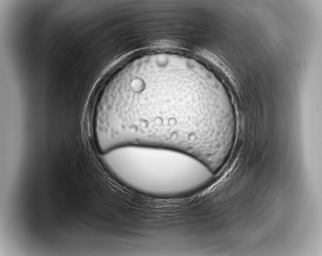 X0000099230925200804241226