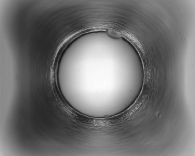 X0000099230928200804241226