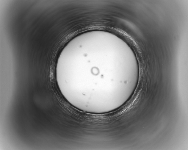 X0000099230929200804241226