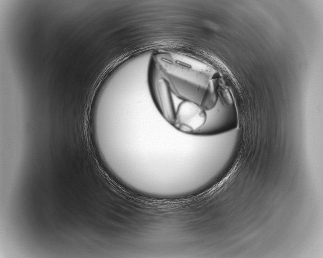 X0000099230930200804241226