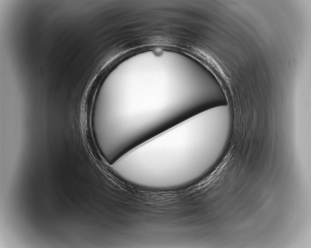 X0000099230931200804241226