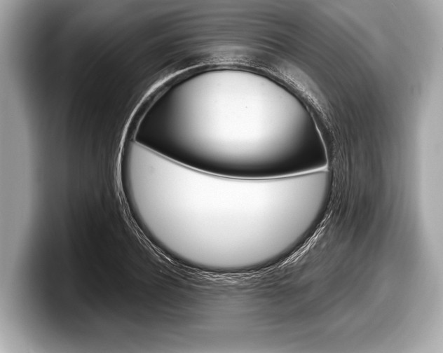X0000099230932200804241226