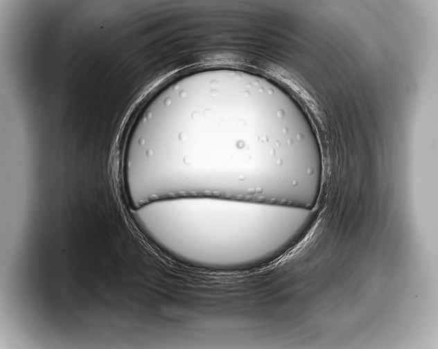 X0000099230933200804241226