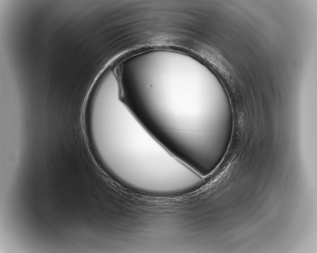X0000099230934200804241226