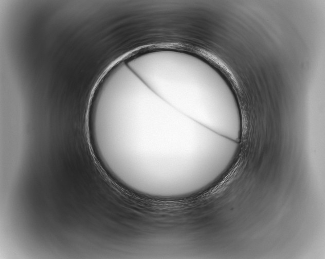 X0000099230935200804241226