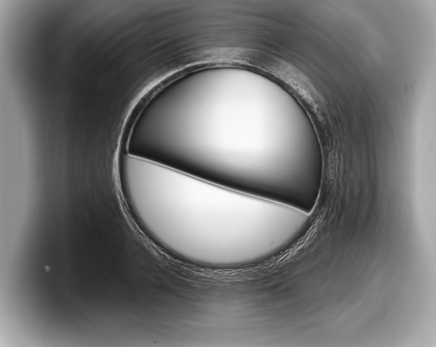 X0000099230936200804241226