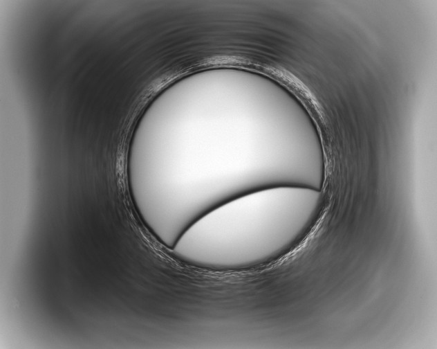 X0000099230937200804241226