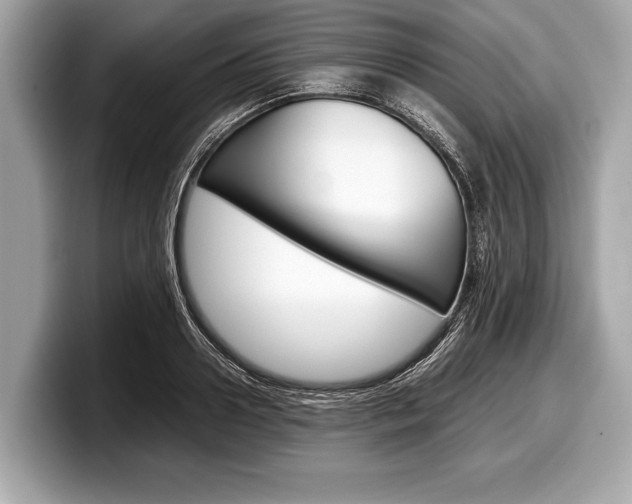 X0000099230938200804241226