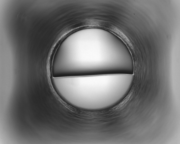 X0000099230939200804241226