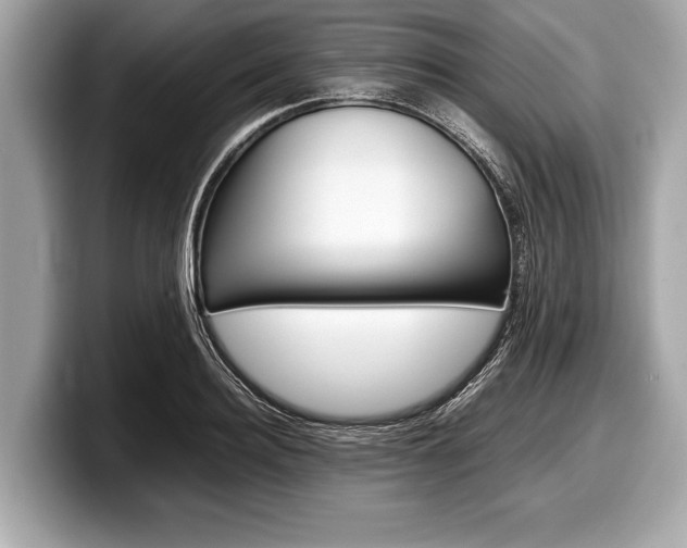 X0000099230940200804241226