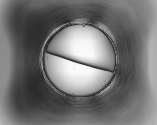 X0000099230941200804241226
