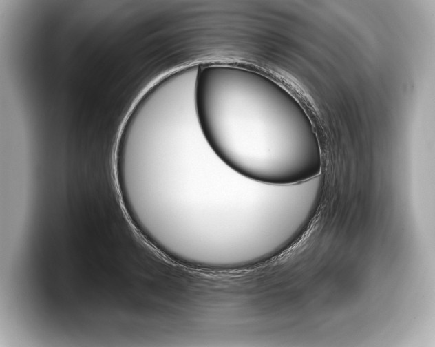 X0000099230942200804241226
