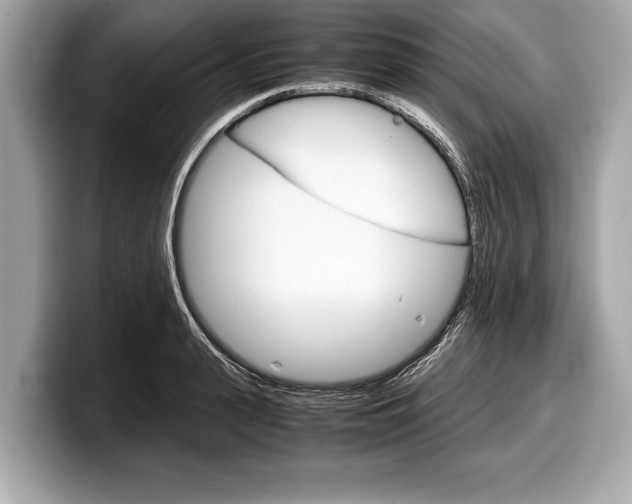 X0000099230943200804241226