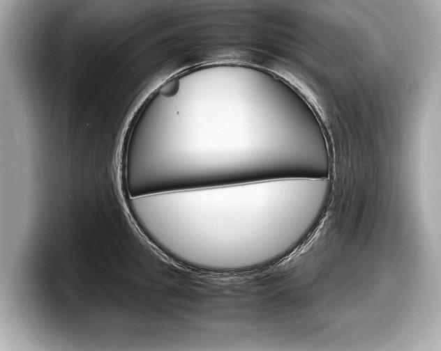 X0000099230949200804241226