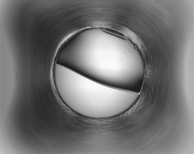 X0000099230952200804241226