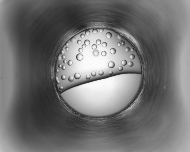 X0000099230953200804241226