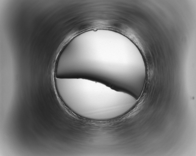 X0000099230954200804241226