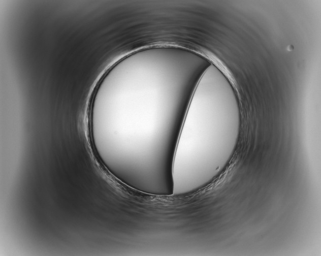 X0000099230955200804241226