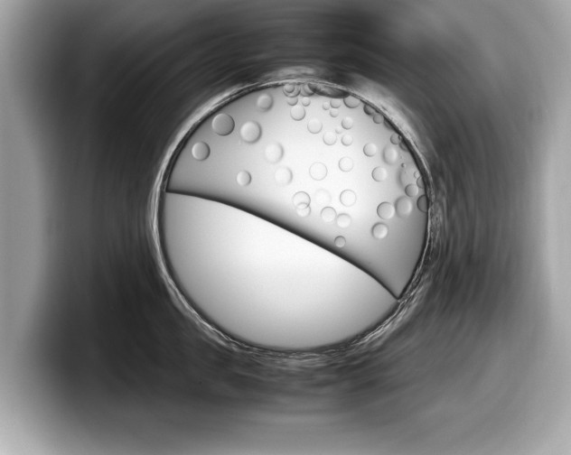 X0000099230957200804241226