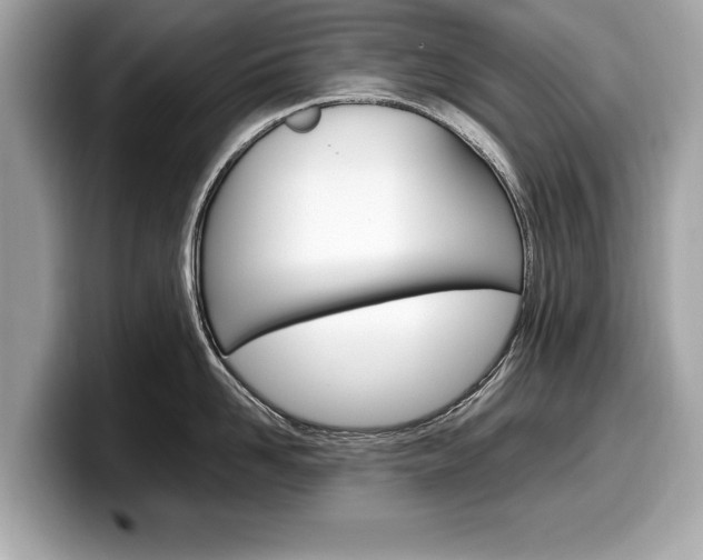 X0000099230958200804241226