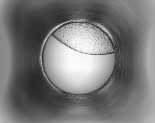 X0000099230959200804241226