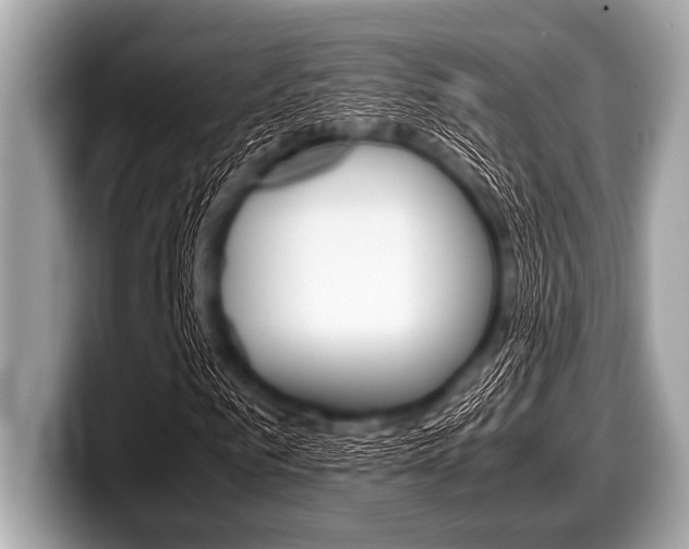 X0000099230961200804241226