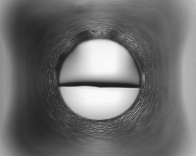 X0000099230963200804241226