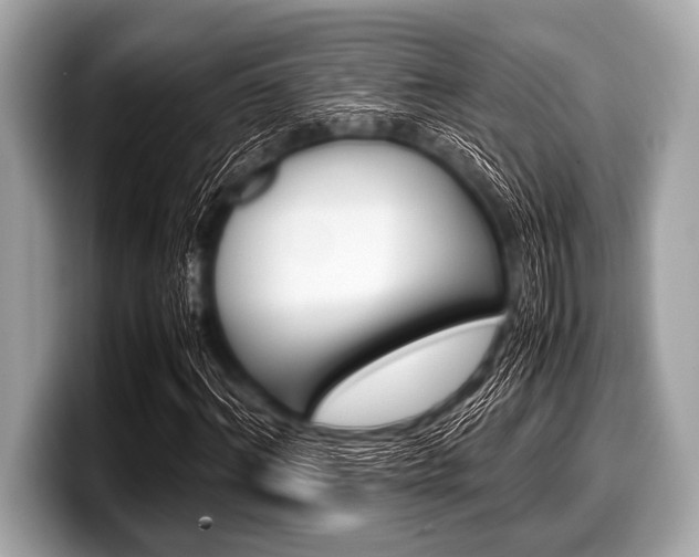 X0000099230964200804241226