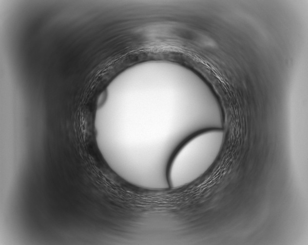 X0000099230966200804241226