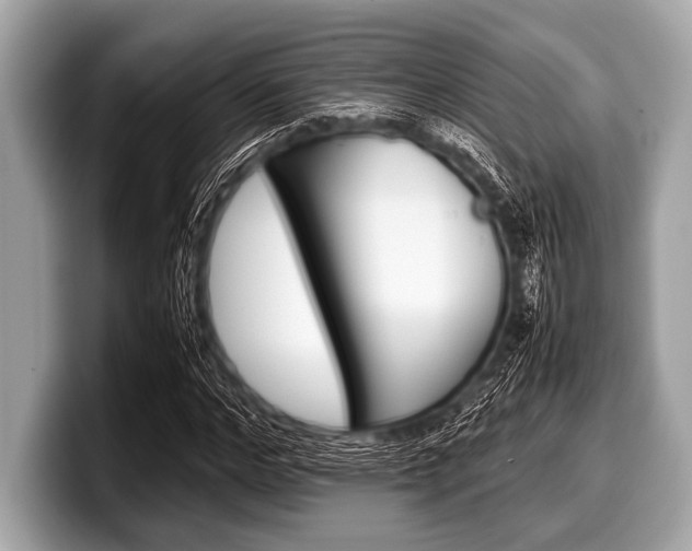 X0000099230968200804241226