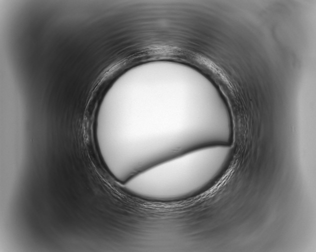 X0000099230970200804241226