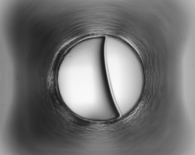 X0000099230971200804241226