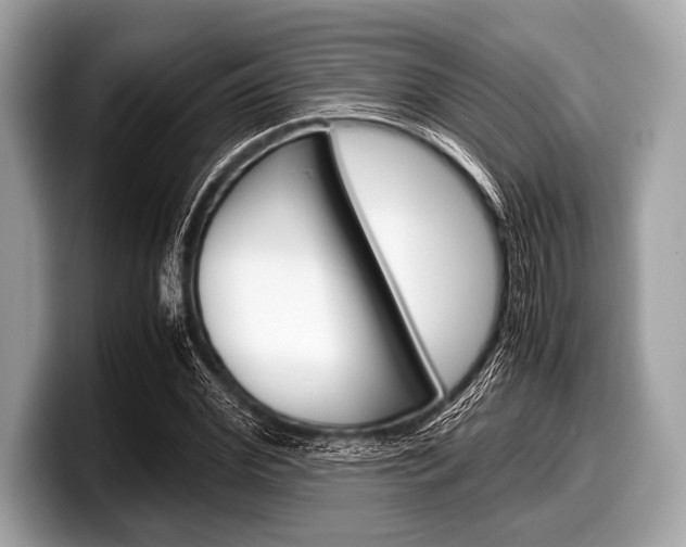 X0000099230972200804241226
