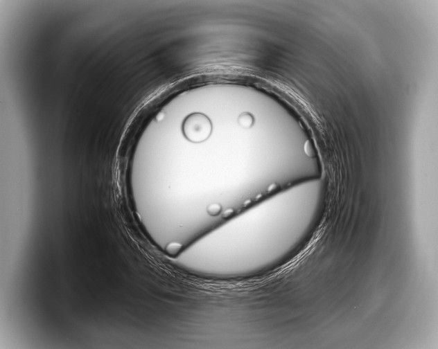 X0000099230974200804241226