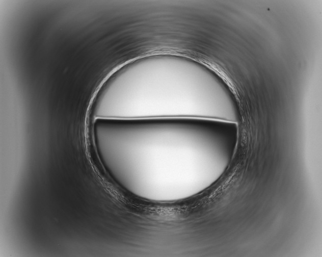 X0000099230976200804241226