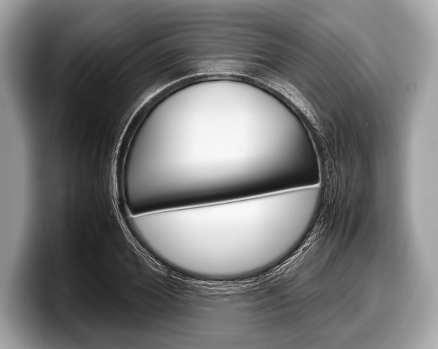 X0000099230980200804241226