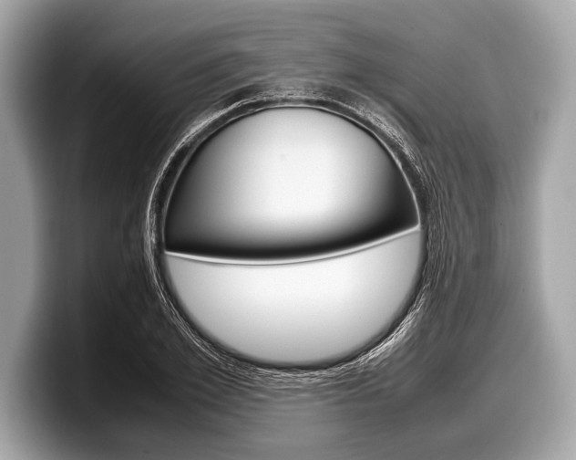 X0000099230981200804241226